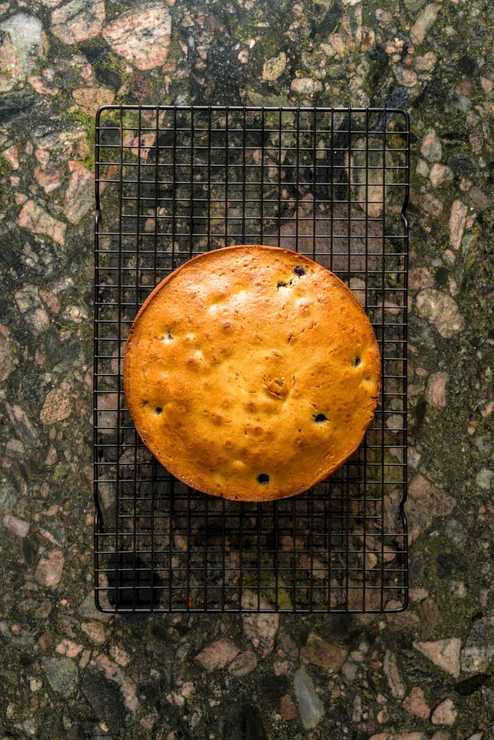 Cooling lemon blueberry olive oil cake on a wire rack.