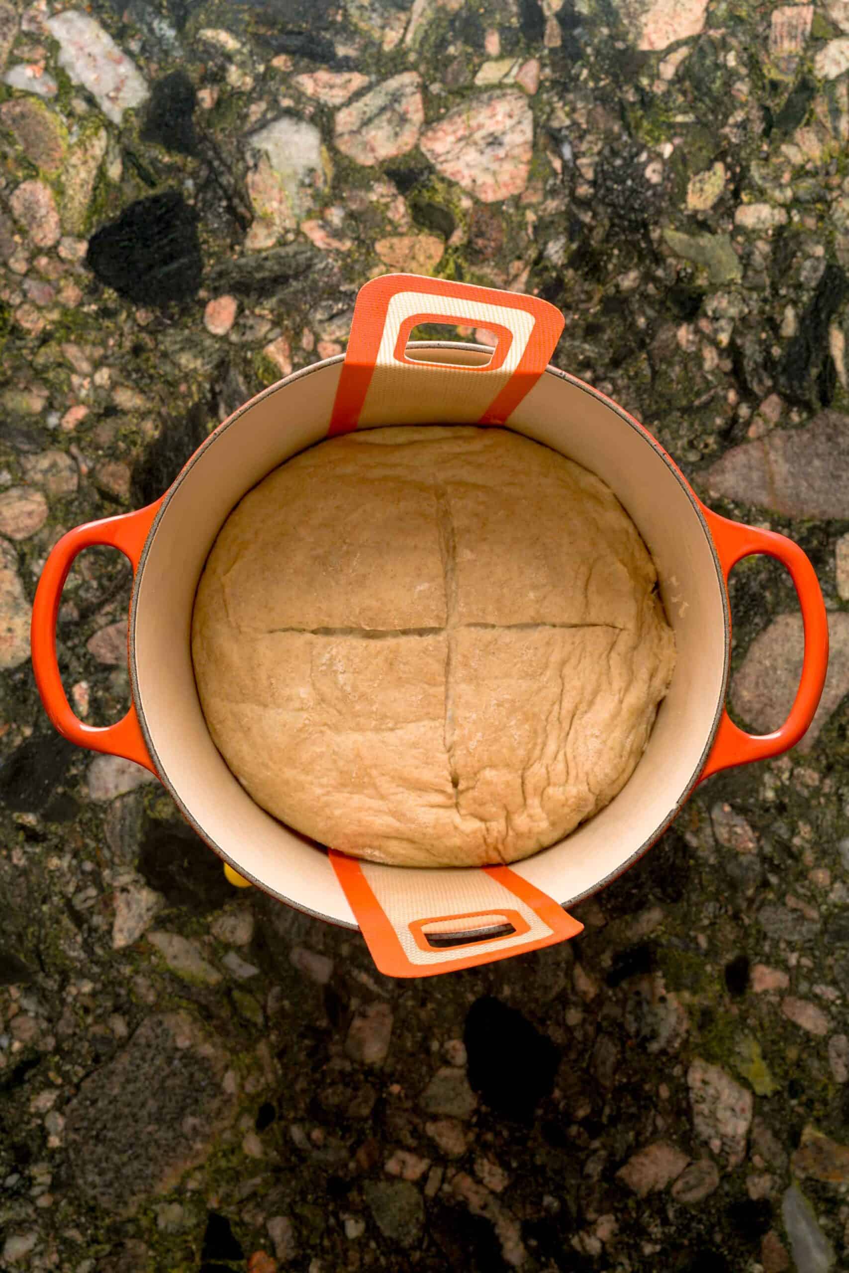 Placing the dough inside a Dutch oven to make Italian homemade bread.